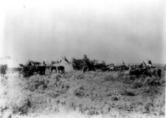 Indian Village