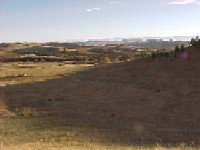 Owl Creek