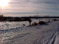 Nest Creek